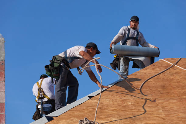 Best Gutter Installation and Roofing  in Lightstreet, PA