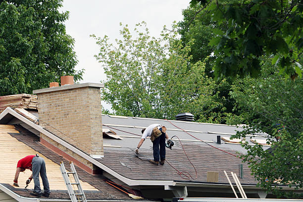 Professional Roofing Contractor in Lightstreet, PA